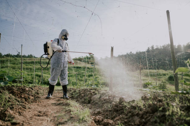 Best Best Pest Control Companies  in Capron, IL