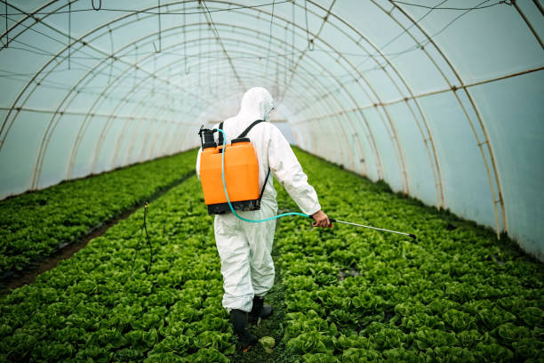 Best Residential Pest Control  in Capron, IL