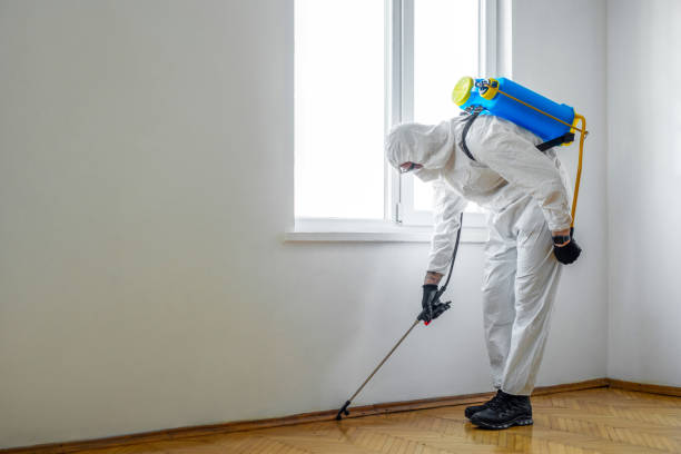 Best Pest Inspection Near Me  in Capron, IL