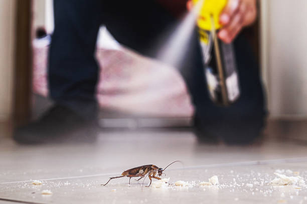 Best Wildlife Control Services  in Capron, IL