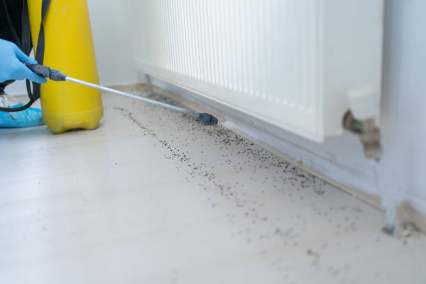 Best Residential Pest Control  in Capron, IL
