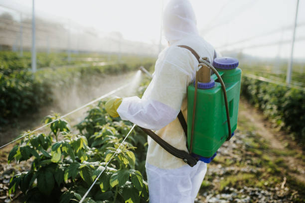 Best Best Pest Control Companies  in Capron, IL